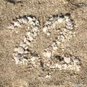 Afbeelding van het getal tweeentwintig (22)