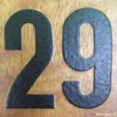 Afbeelding van het getal negenentwintig (29)